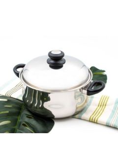 5 qt. Stainless Steel Dutch Oven with lid